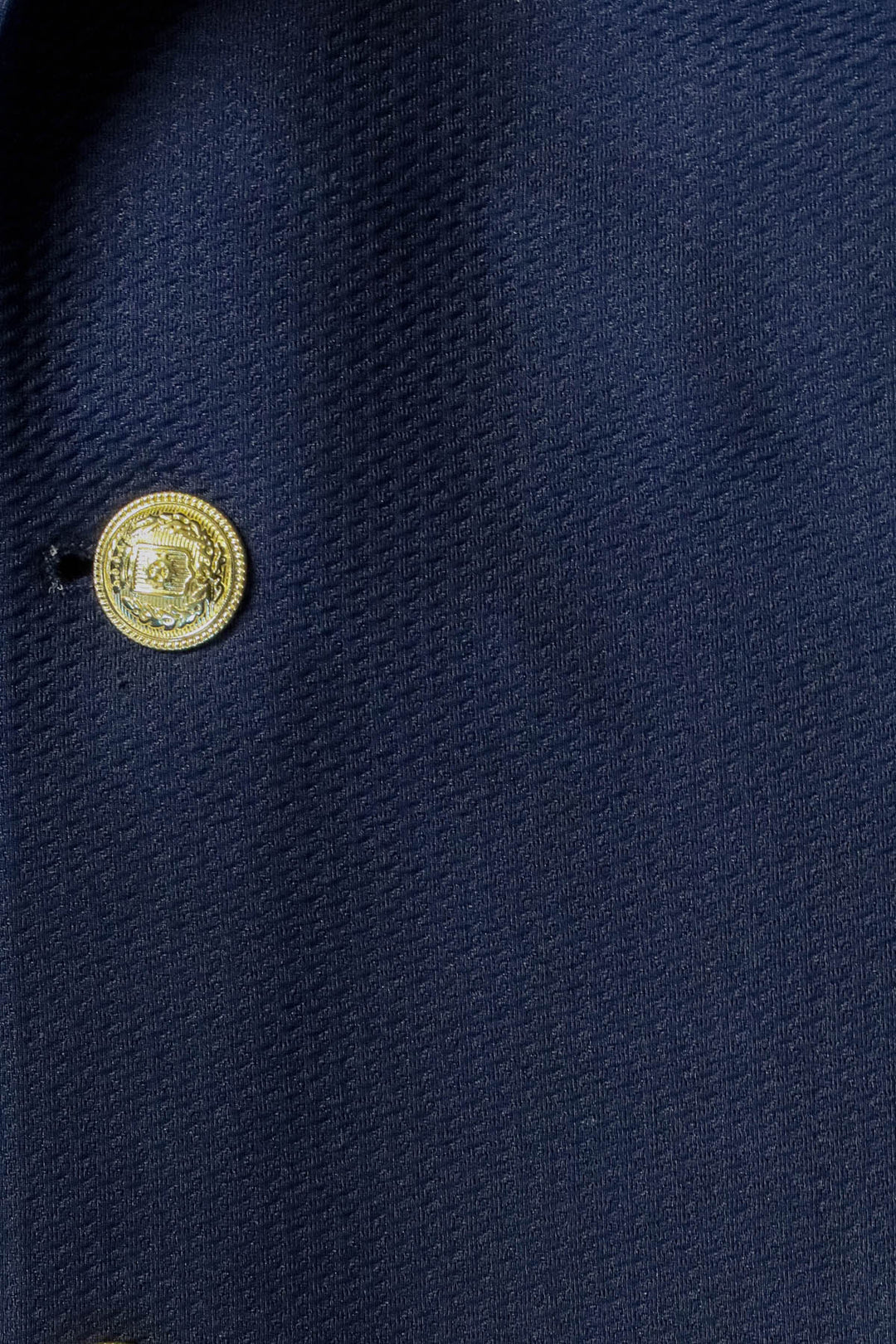 Navy Blue Textured Gold Metal Button Slim Fit Men's Blazer Jacket - Wessi