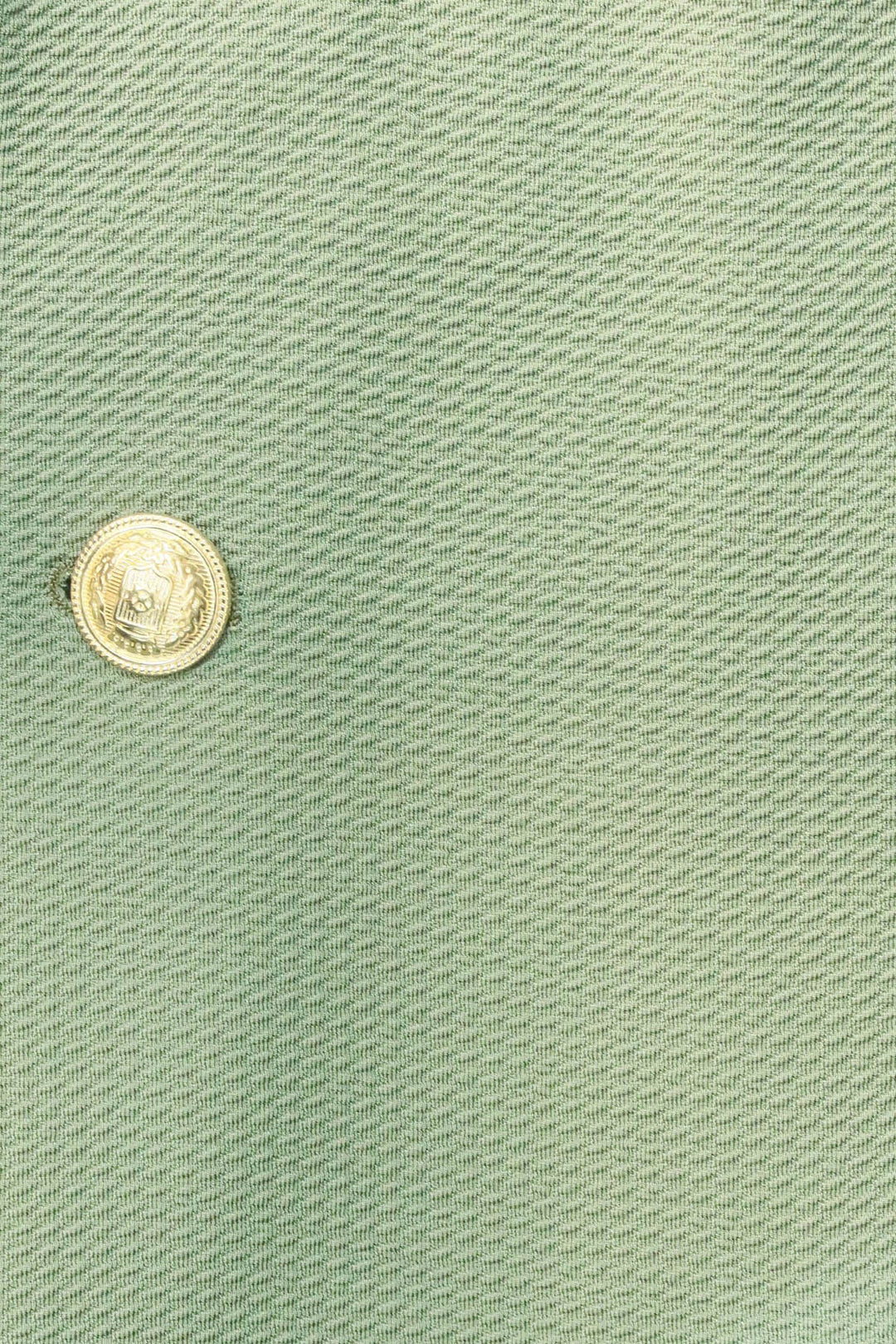 Sage Green Textured Gold Metal Button Slim Fit Men's Blazer Jacket - Wessi