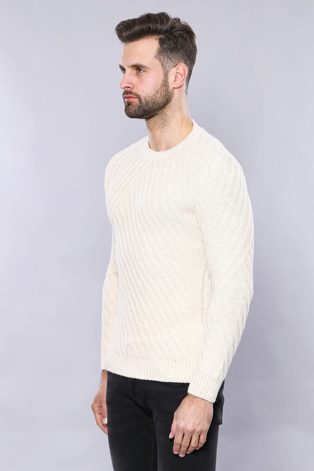 Patterned Circle Neck Cream Sweater | Wessi