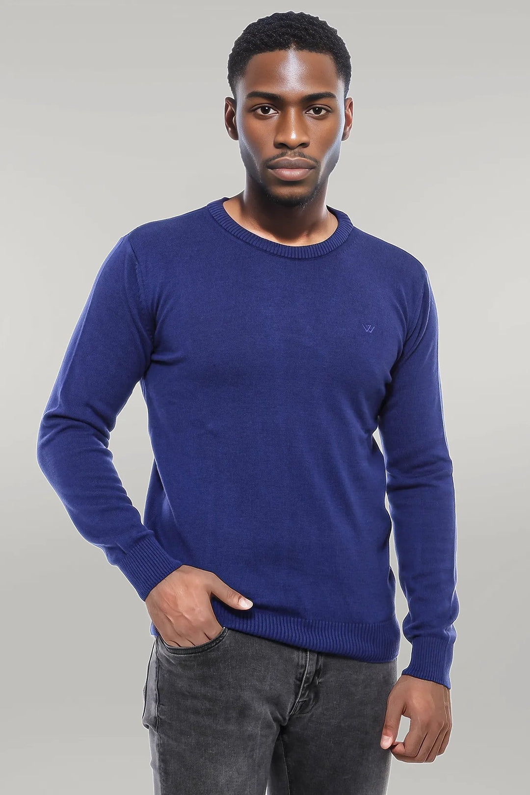 Navy Blue Crew Neck Embroidered Plain Knitwear - Wessi