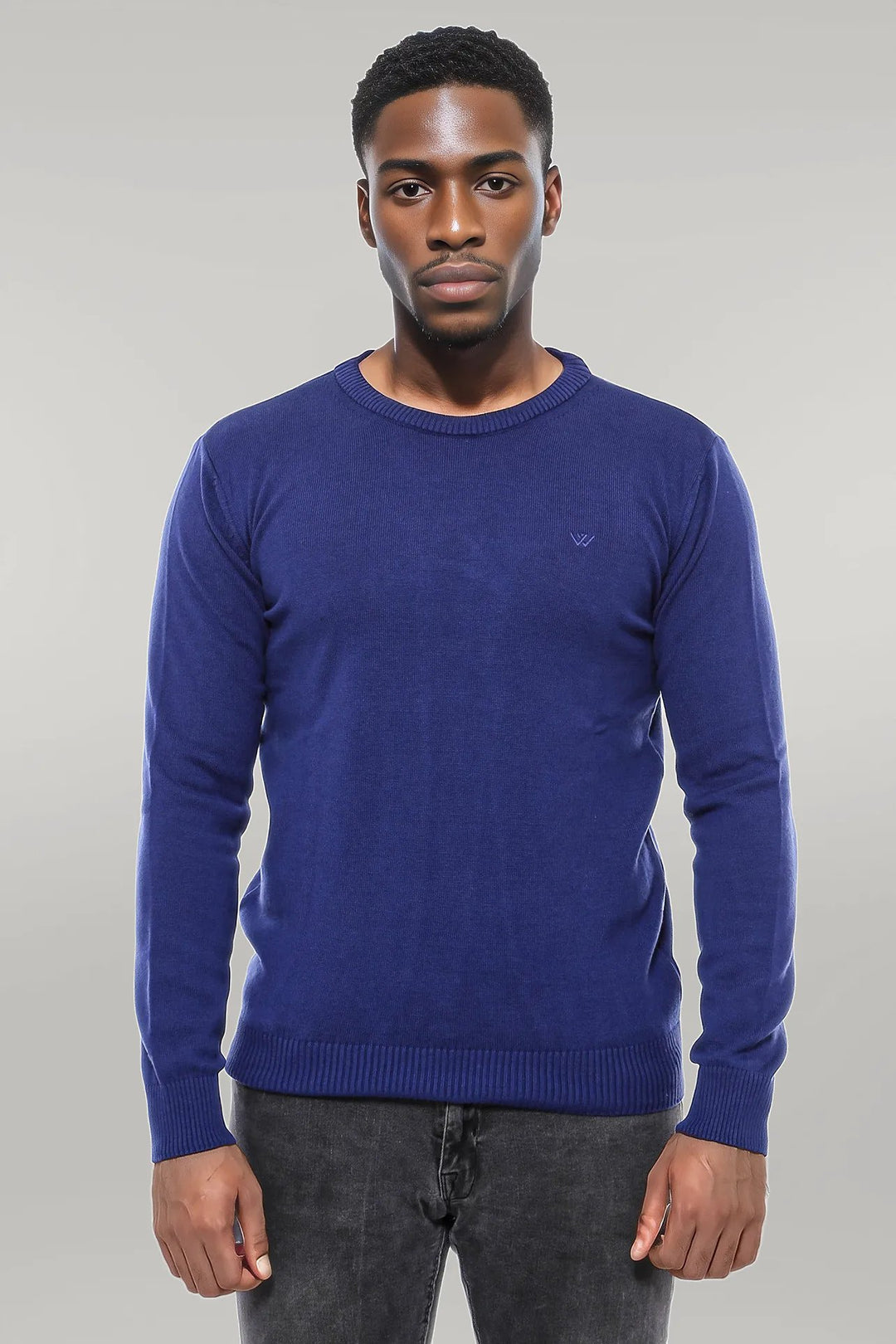 Navy Blue Crew Neck Embroidered Plain Knitwear - Wessi