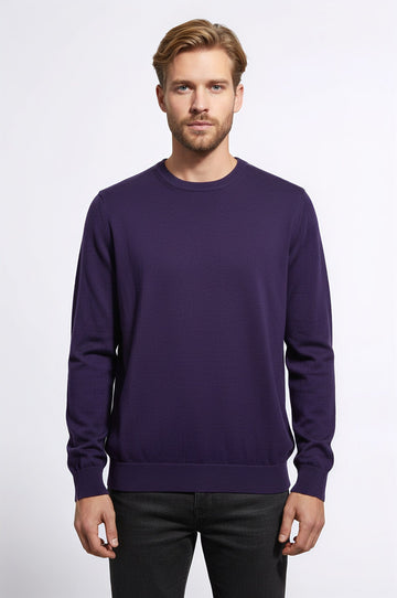 Crew Neck Long Sleeves Plain Purple Men Knitwear - Wessi
