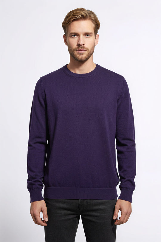 Crew Neck Long Sleeves Plain Purple Men Knitwear - Wessi