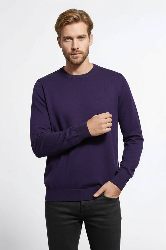 Crew Neck Long Sleeves Plain Purple Men Knitwear - Wessi