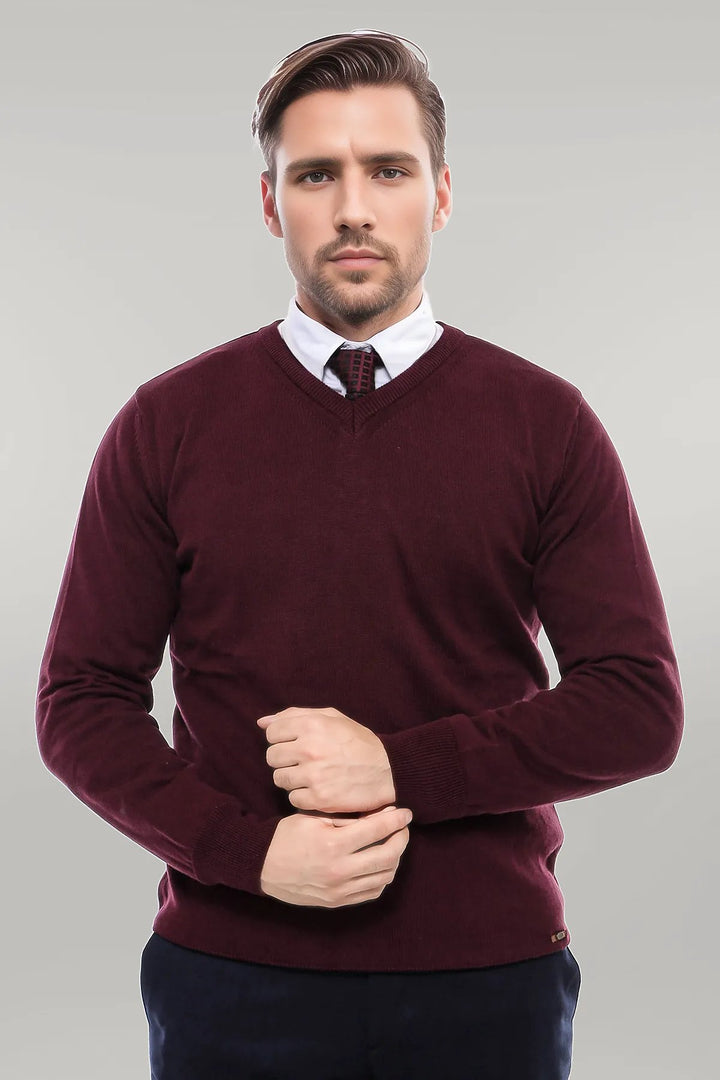 V Neck Burgundy Men's Knitwear - Wessi