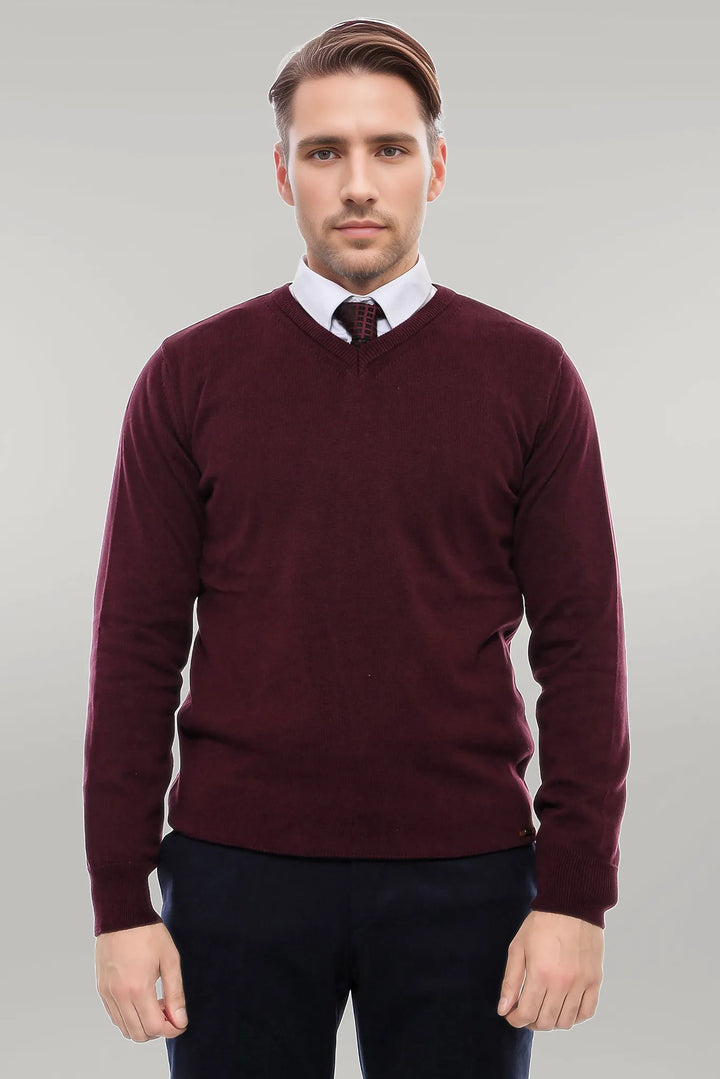 V Neck Burgundy Men's Knitwear - Wessi