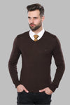Slim Fit V Neck Long Sleeve Brown Men Knitwear