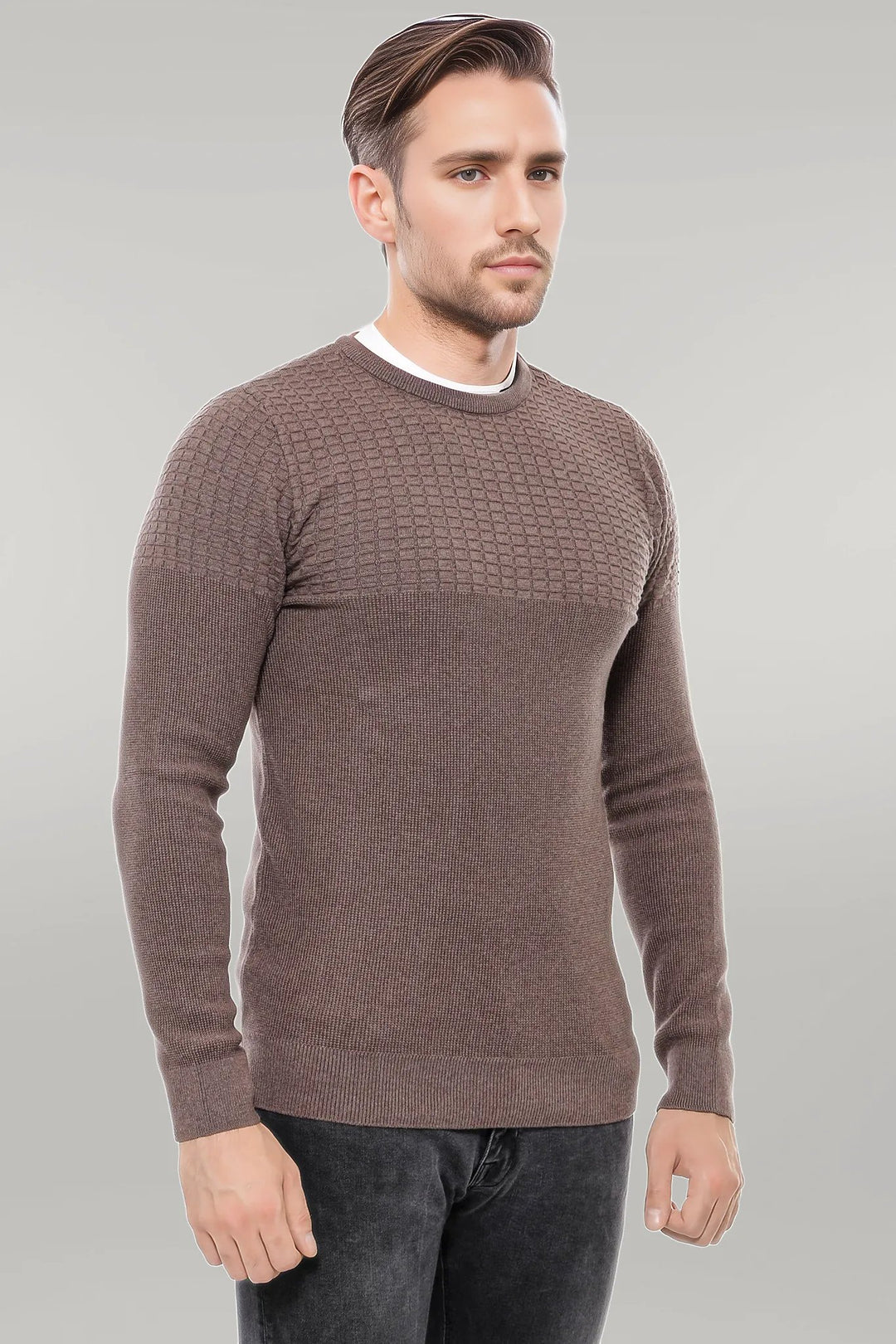 Circle Neck Patterned Mink Men Knitwear - Wessi