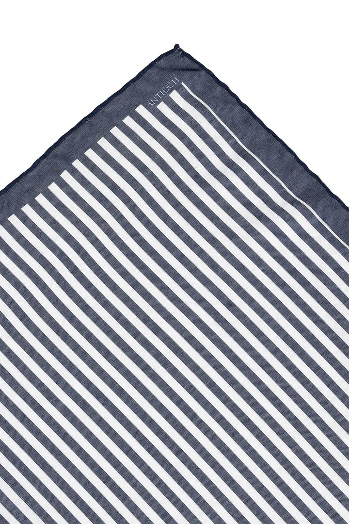 Men's Navy Blue Navy Striped Scarf - Wessi