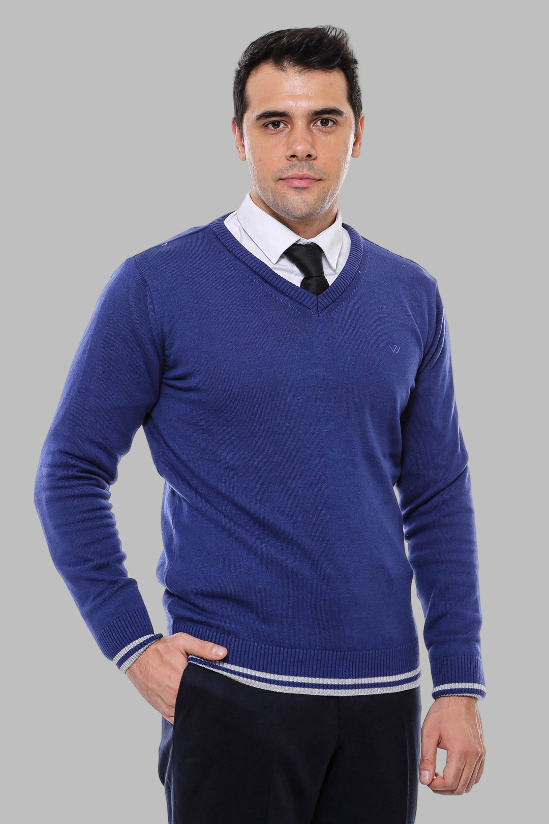 Dark Blue V Neck Slim Fit Sweater - Wessi