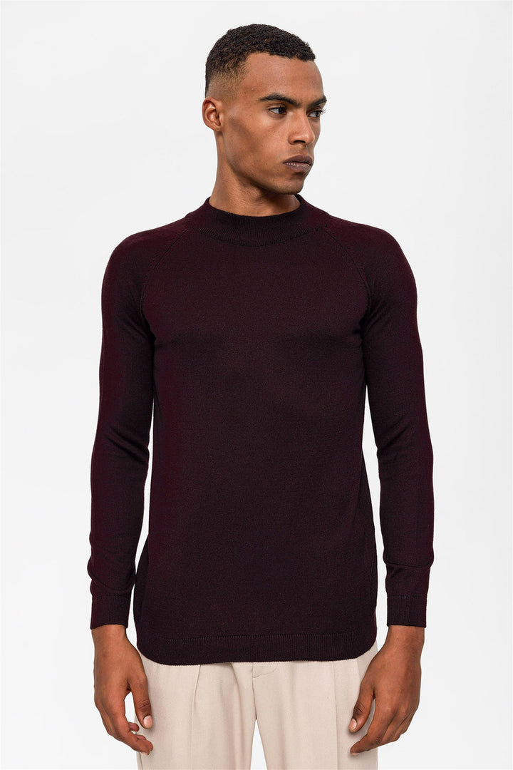 Men's Dark Damson Half Turtleneck  Sweater - Wessi