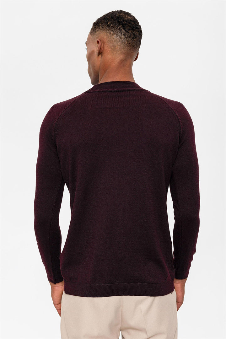 Men's Dark Damson Half Turtleneck  Sweater - Wessi