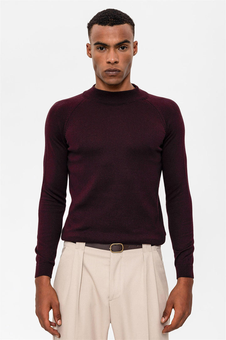 Men's Dark Damson Half Turtleneck  Sweater - Wessi
