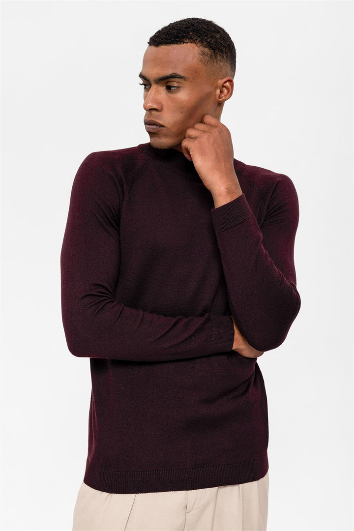 Men's Dark Damson Half Turtleneck  Sweater - Wessi