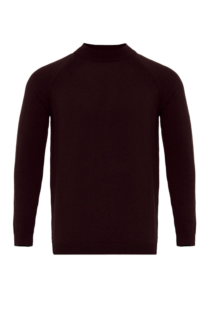 Men's Dark Damson Half Turtleneck  Sweater - Wessi