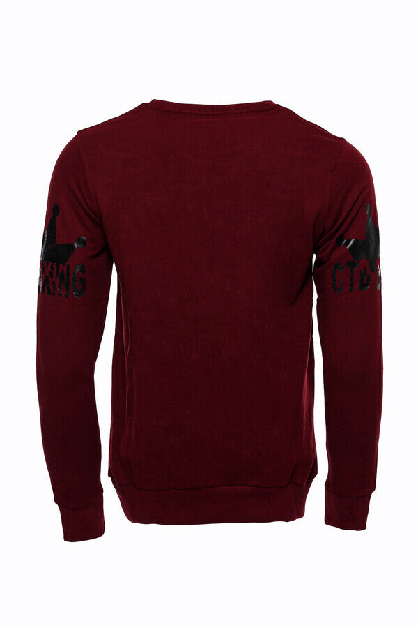 Felpa da uomo marrone slim fit fantasia - Wessi