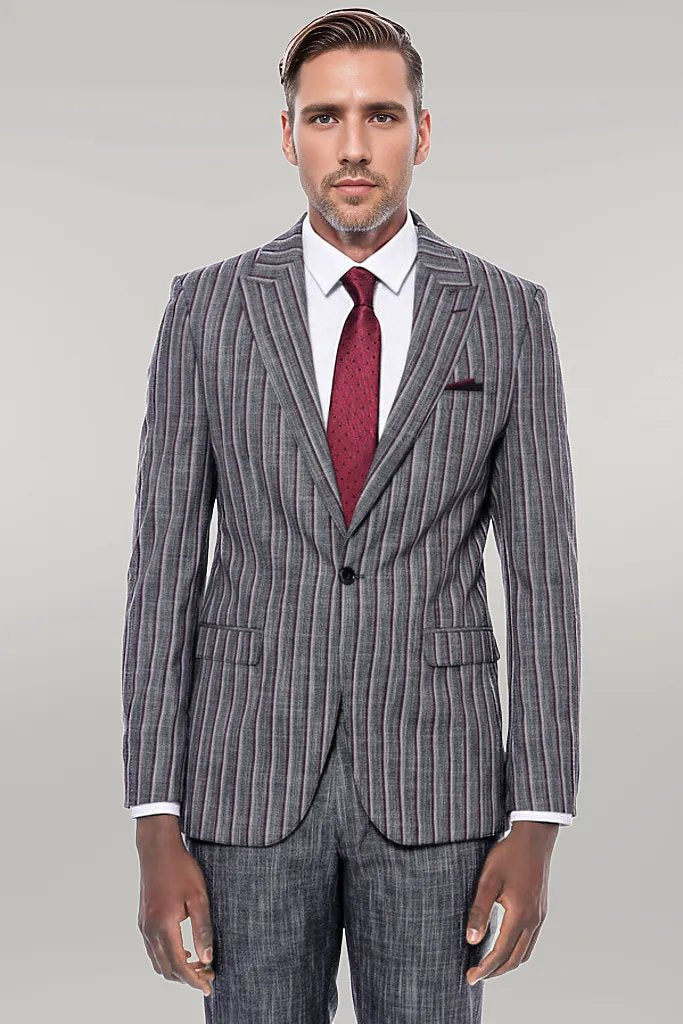 Mafia Fashion Man Wearing Grey Striped Suit Stock Photo - Download Image  Now - Adult, Adults Only, Beautiful People - iStock